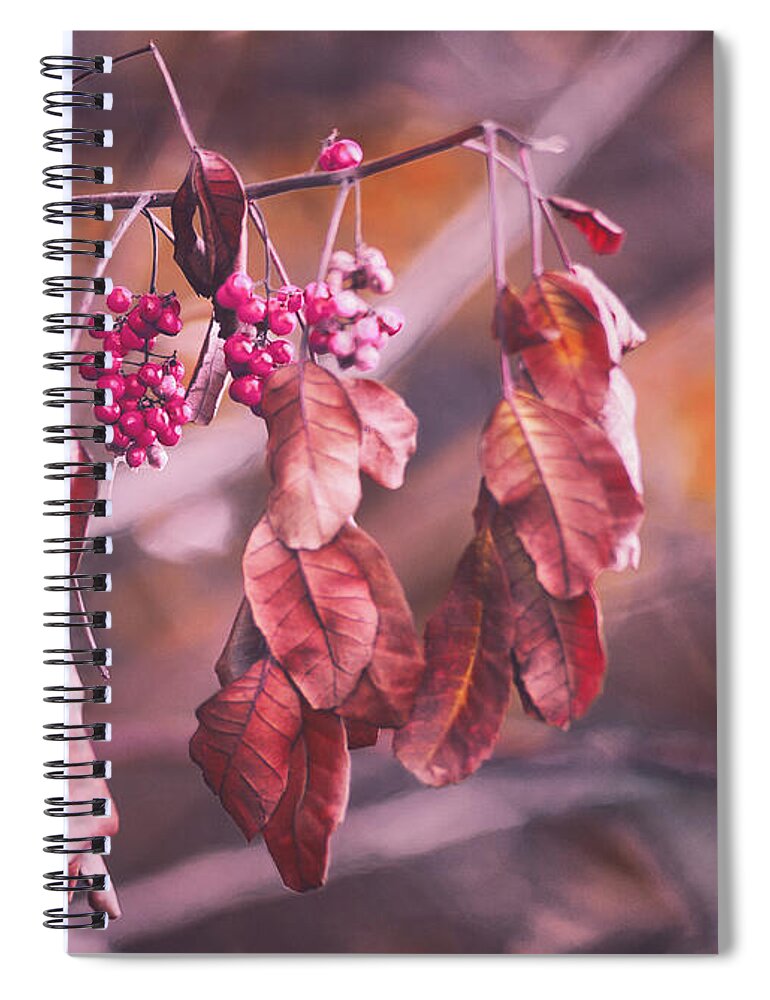 Stunning Nature Art Spiral Notebook featuring the photograph Sunset Downs by Gian Smith