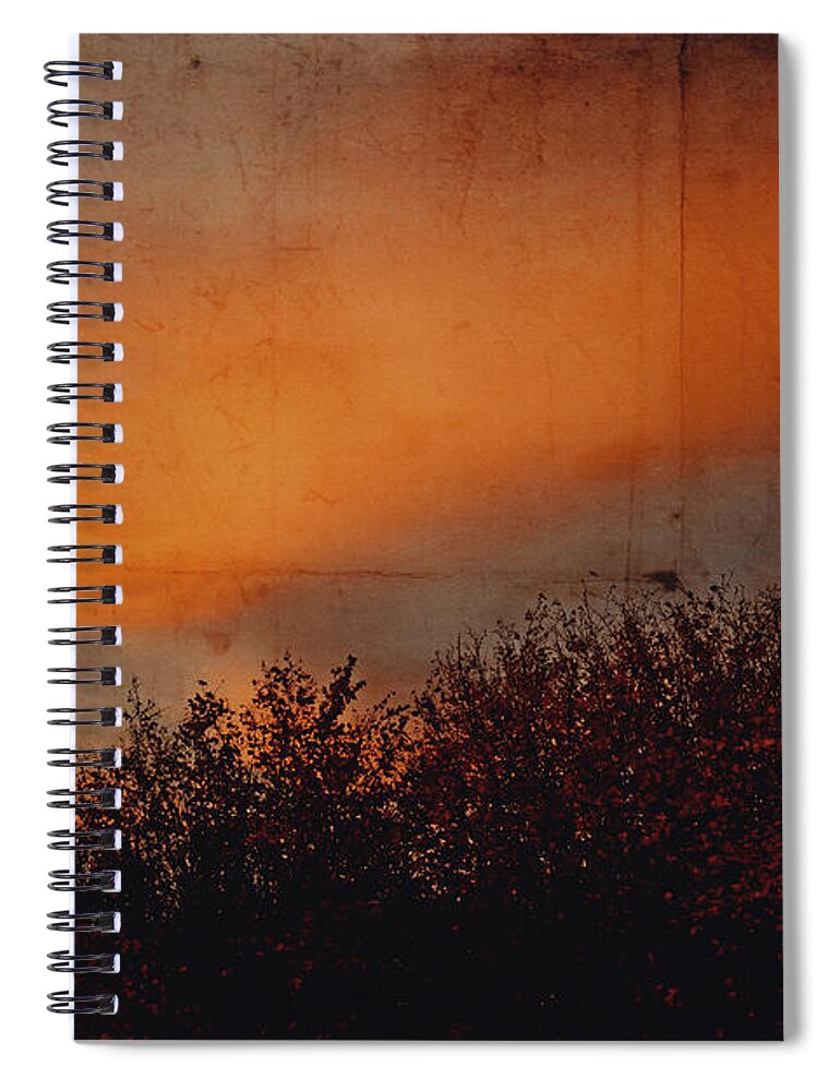 Land Spiral Notebook featuring the photograph Sunset light by Yasmina Baggili