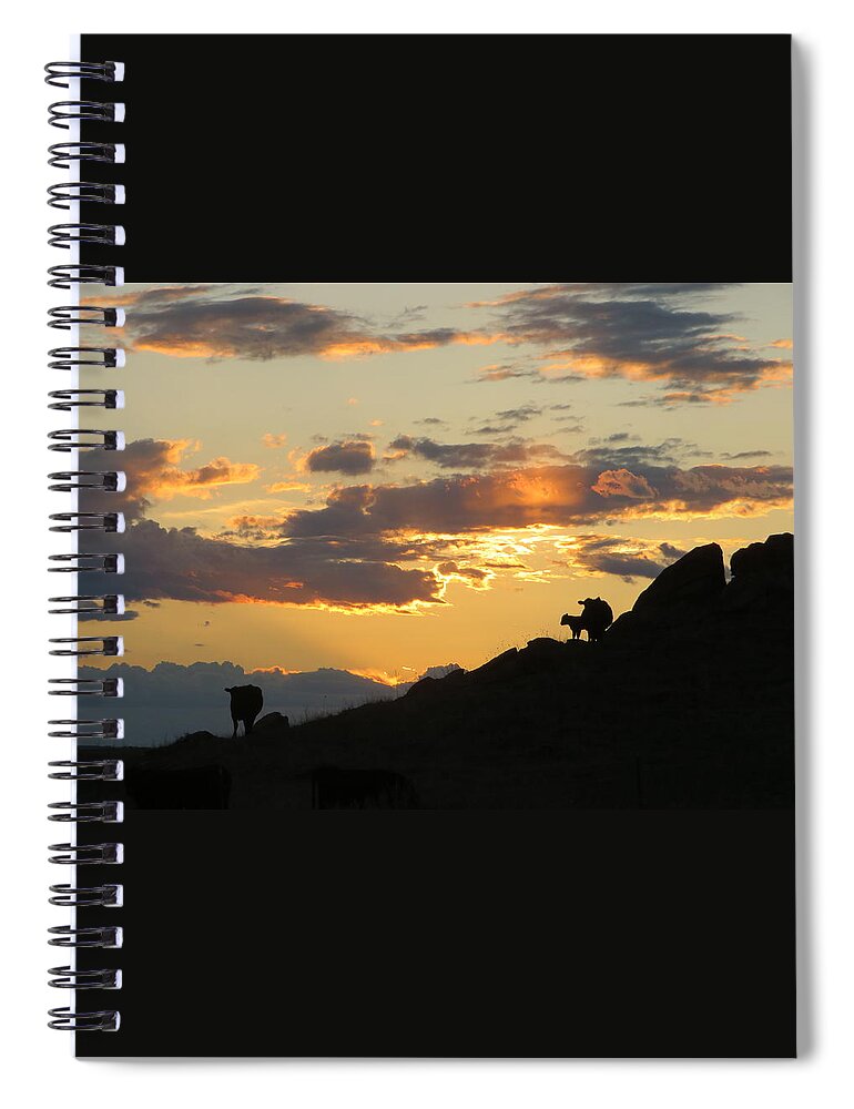 Cattle Spiral Notebook featuring the photograph Sunset Lullaby by Katie Keenan