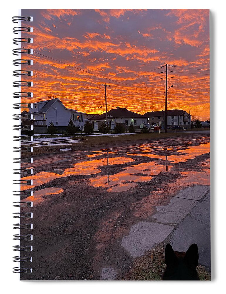 Sunset Spiral Notebook featuring the photograph Sunset reflects by Judy Dimentberg