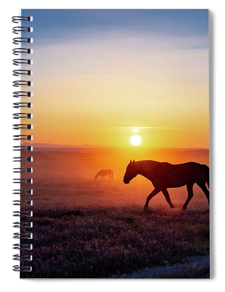Horse Spiral Notebook featuring the photograph Sunset Silhouette by Dirk Johnson