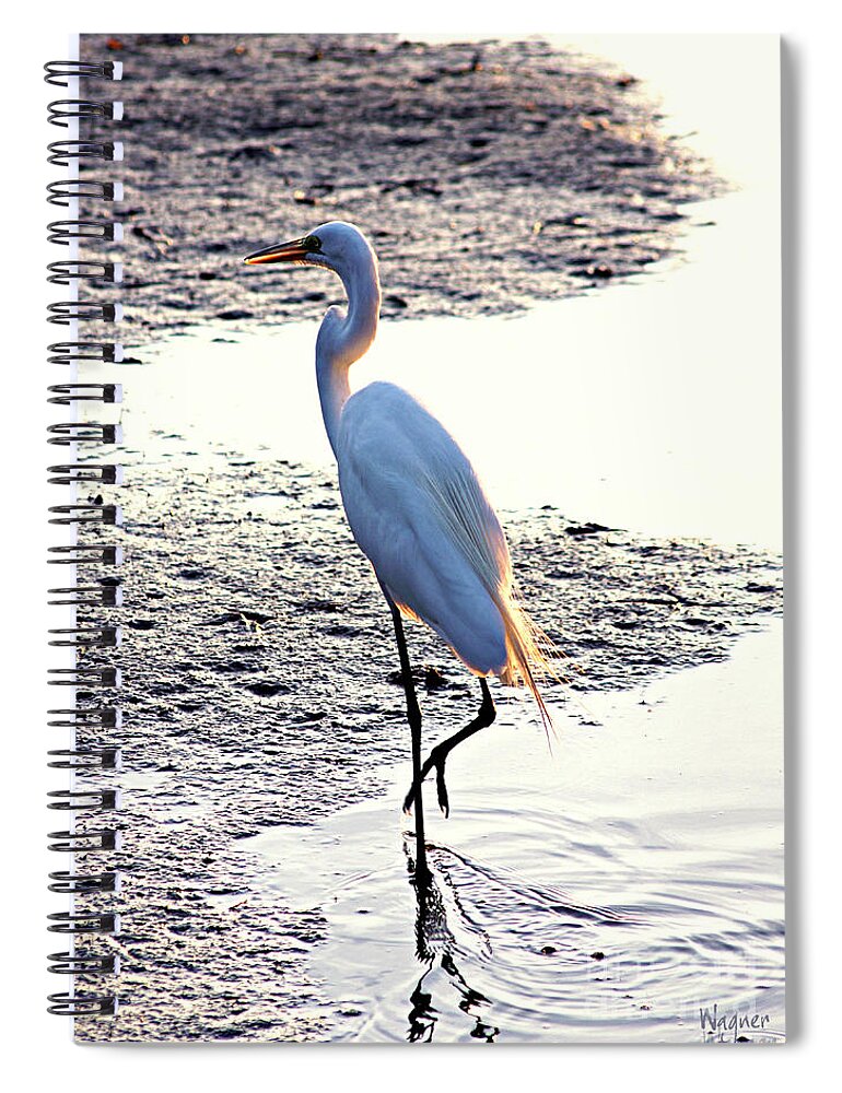 Great Egret Spiral Notebook featuring the photograph Sunset Stroll by Hilda Wagner