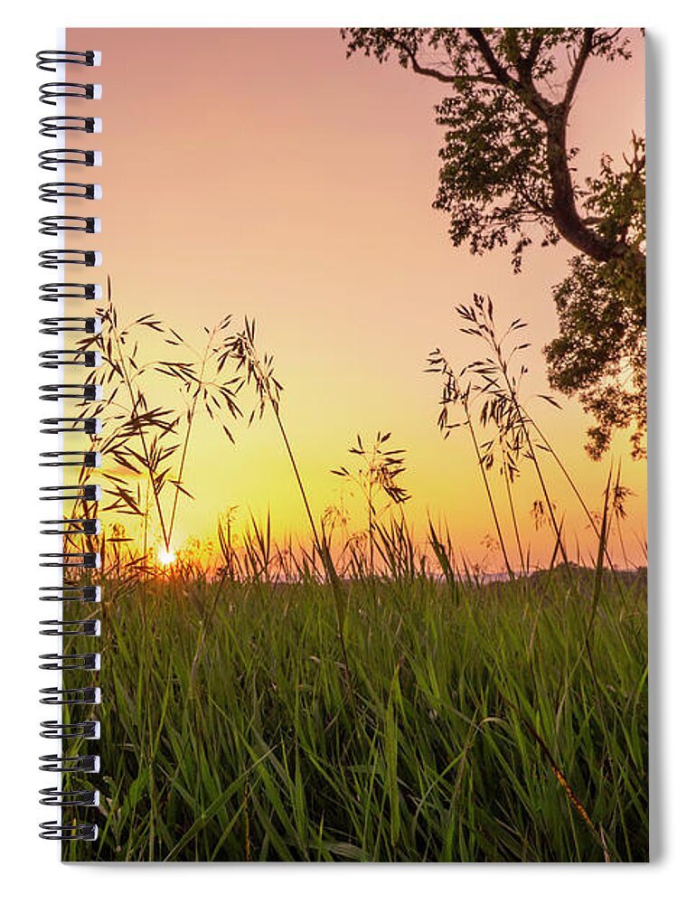 Trexler Spiral Notebook featuring the photograph Sunset Through the High Grass by Jason Fink