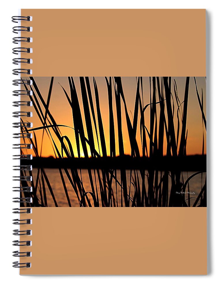 Sunset Spiral Notebook featuring the photograph Sunset Through the Reeds by Mary Walchuck