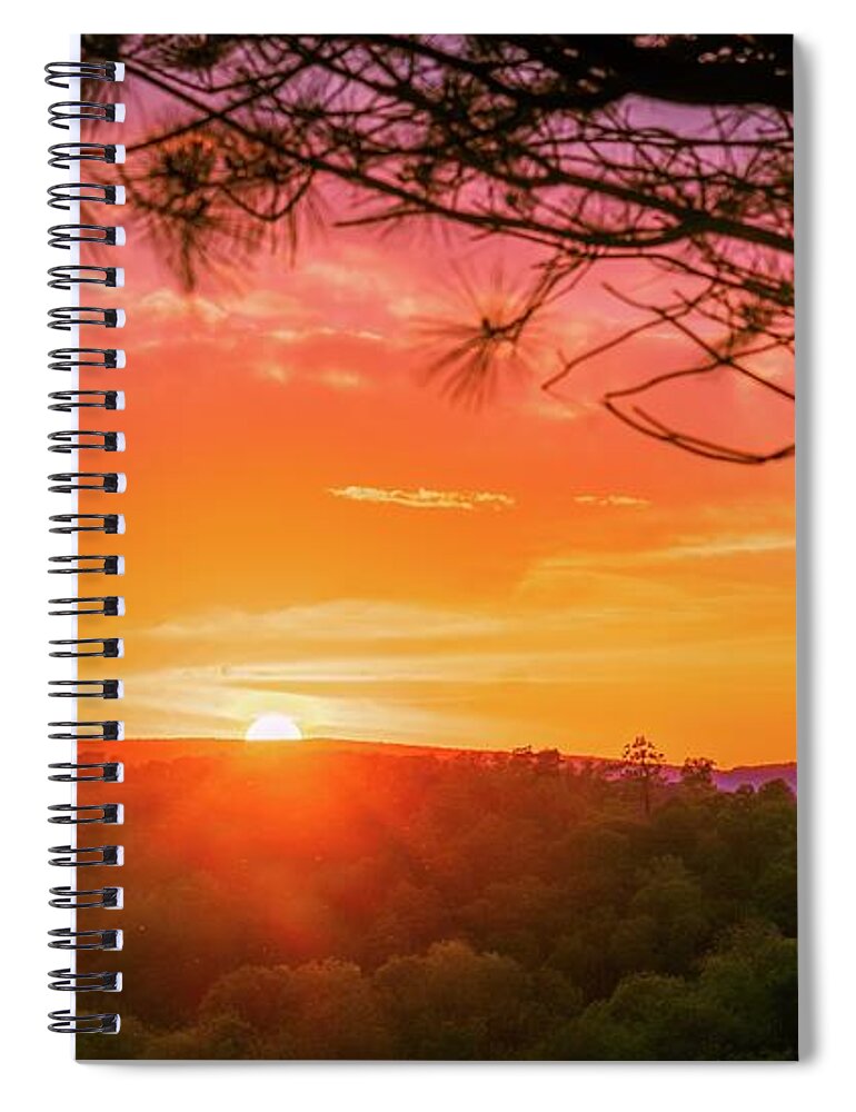 Sunset Spiral Notebook featuring the photograph Sunset Under the Trees - Observation Trail by Jason Fink
