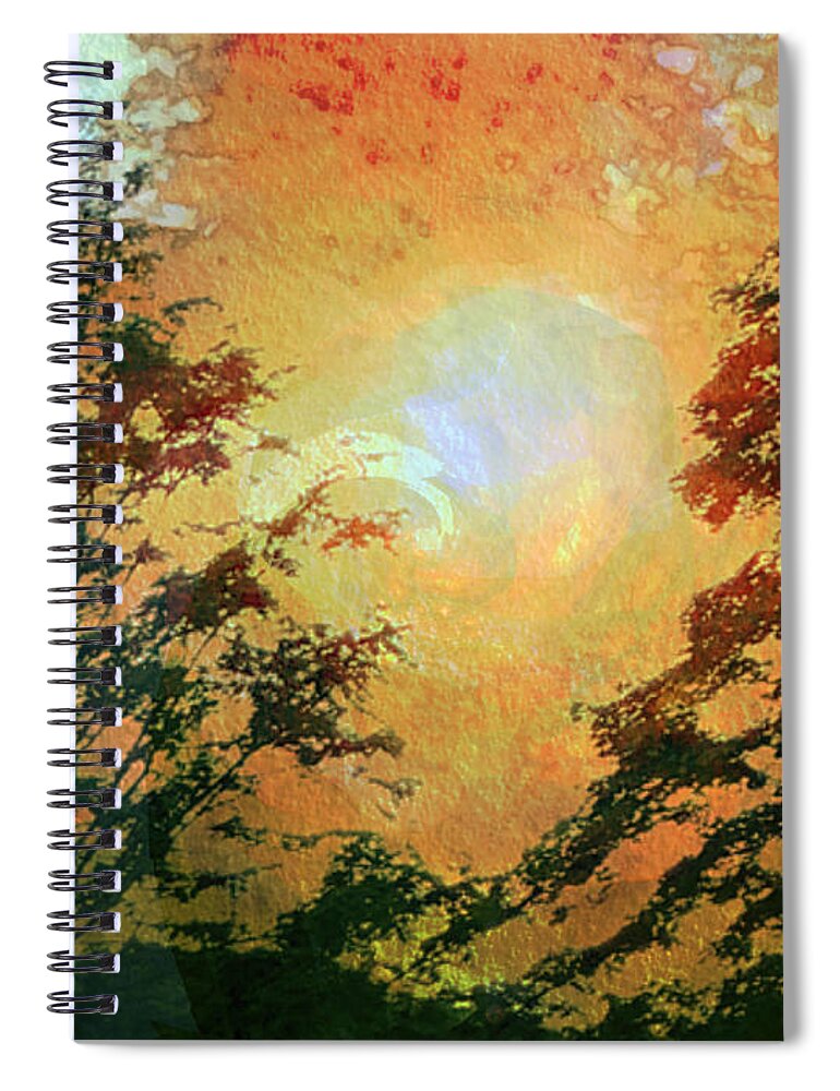 Tree Spiral Notebook featuring the photograph Sunset Vortex by Carol Whaley Addassi