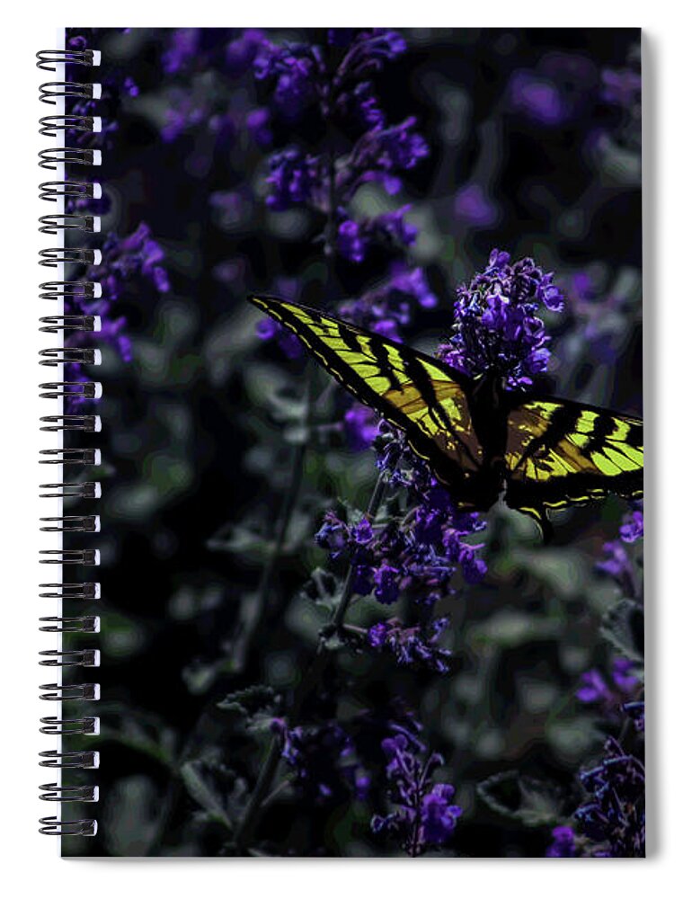 Western Swallowtail Spiral Notebook featuring the photograph Sunshine, Freedom and a Flower by Laura Putman