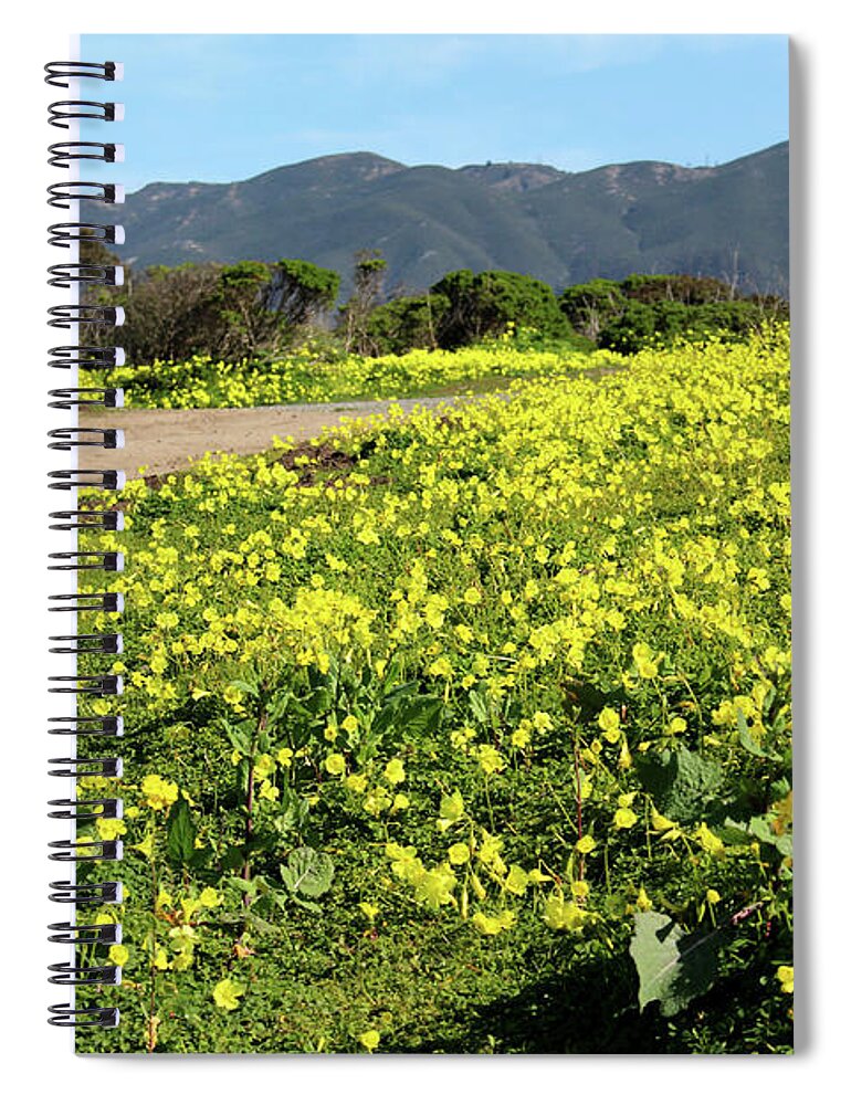 Super Bloom Spiral Notebook featuring the photograph Superbloom and Hills by Katherine Erickson