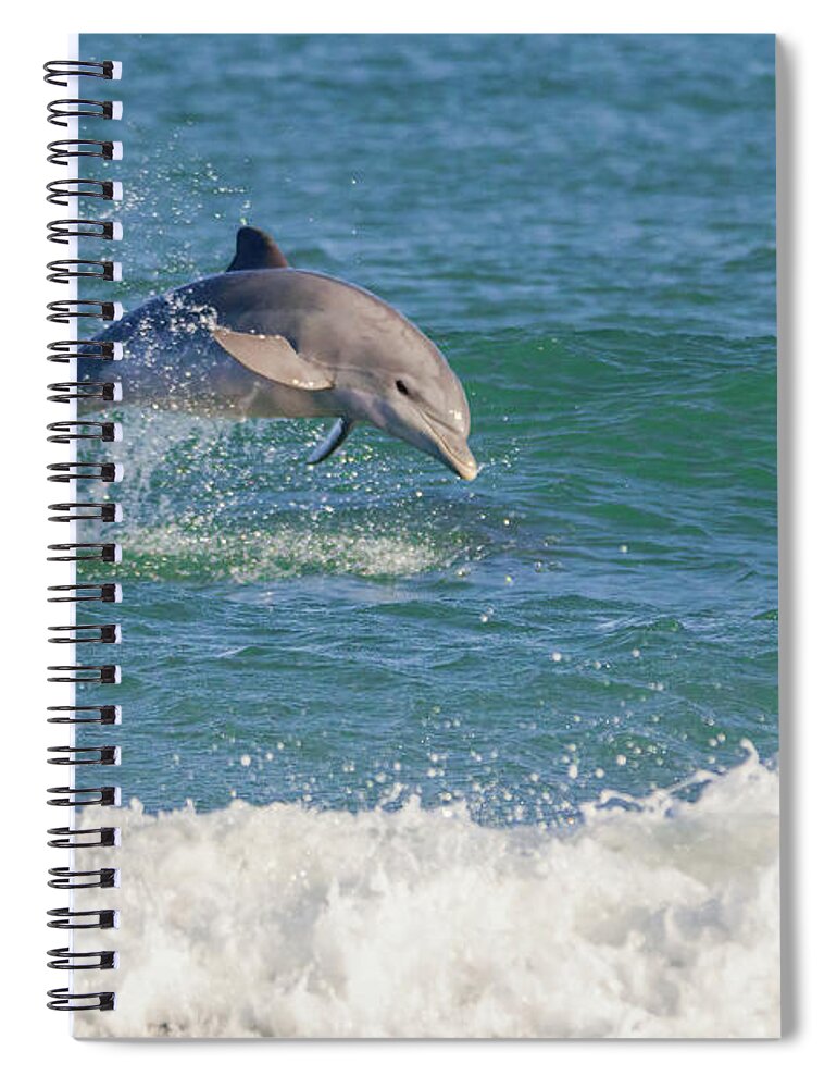 Dolphin Spiral Notebook featuring the photograph Surf Dolphin by Bradford Martin