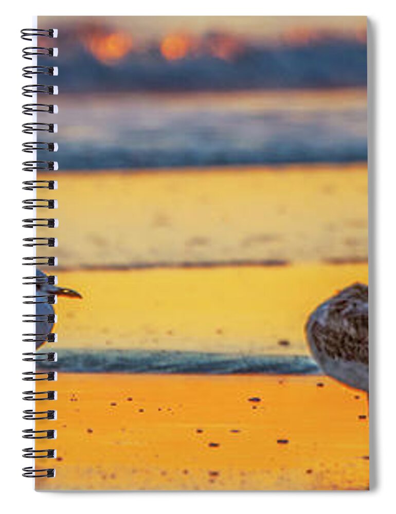 Bird Spiral Notebook featuring the photograph Surfs Down by Rob Hemphill