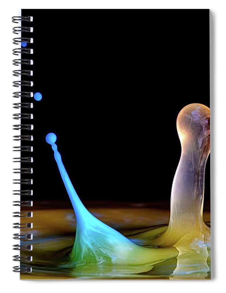 Art Spiral Notebook featuring the photograph Surprise Encounter by Michael McKenney