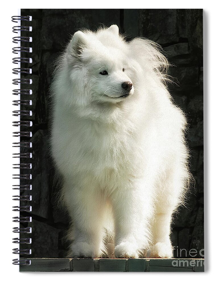 Dog Spiral Notebook featuring the photograph Surveying Her Domain by Lois Bryan