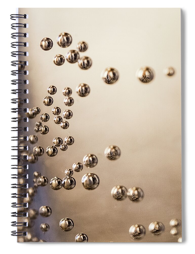 H2o Spiral Notebook featuring the photograph Suspended Animation by Christi Kraft