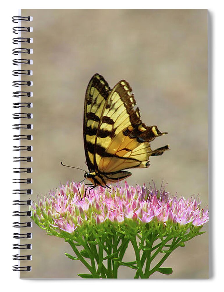 Swallowtail Spiral Notebook featuring the photograph Swallowtail Butterfly Endures by Christopher Reed