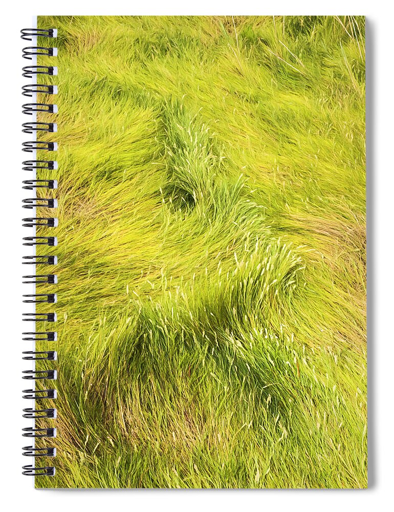Repetition Spiral Notebook featuring the photograph Swamp Grass LInes by Gary Slawsky