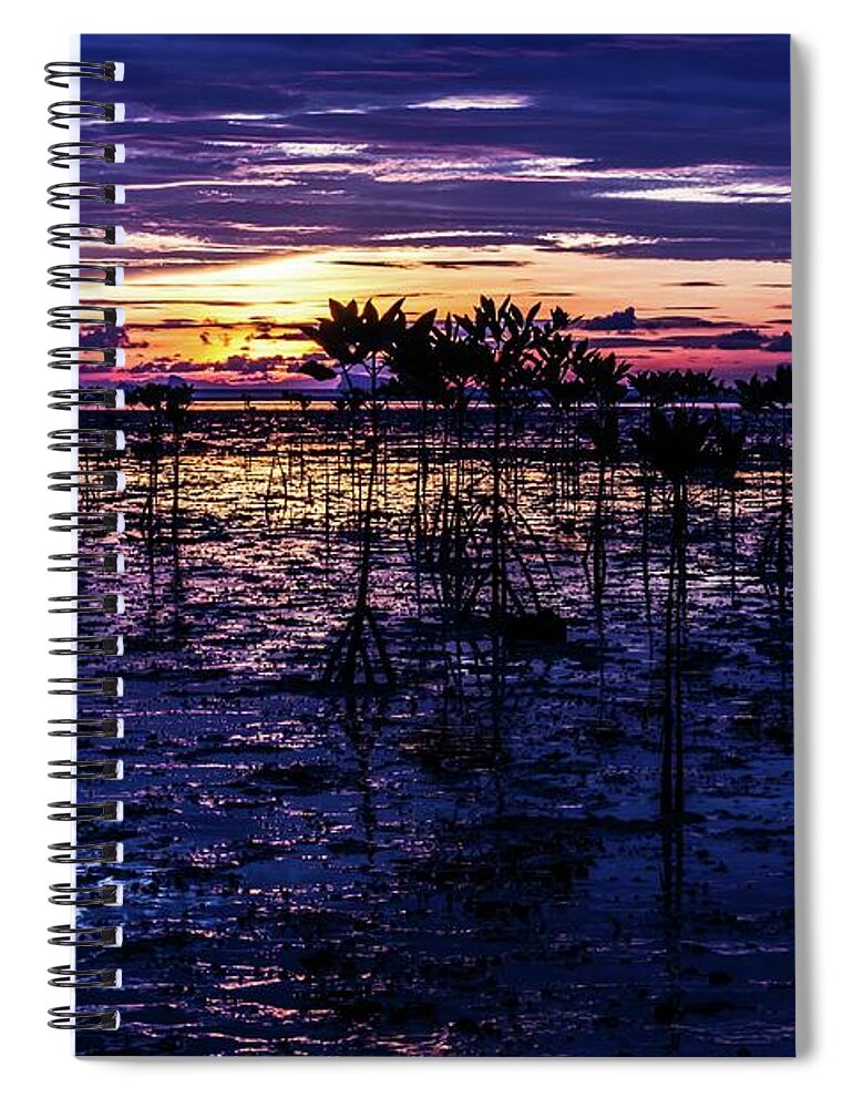 Beach Spiral Notebook featuring the photograph Swamp Sunset by Josu Ozkaritz