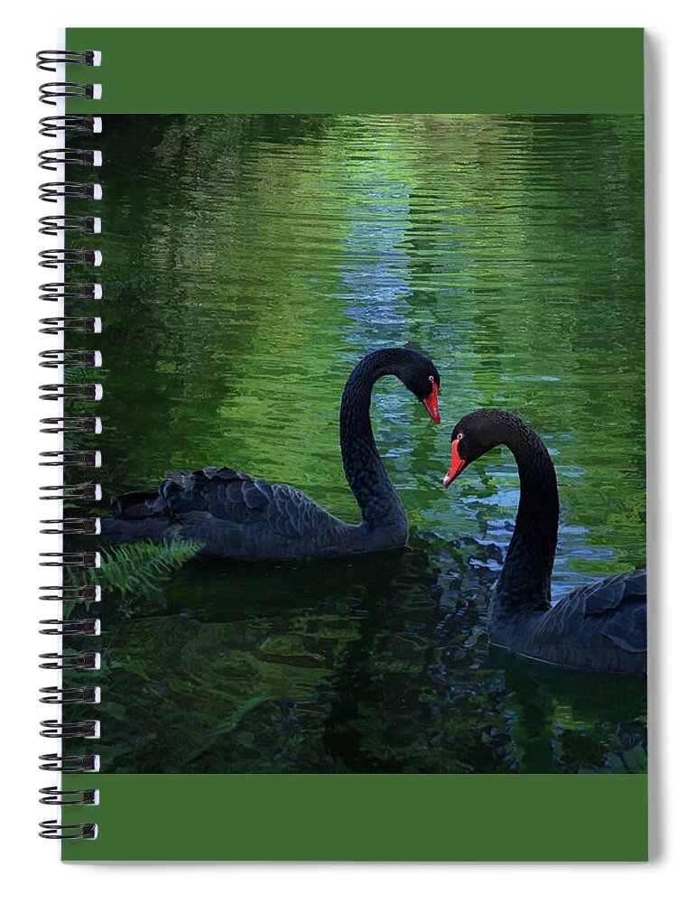 Black Swans Spiral Notebook featuring the digital art Swan Creek by Melinda Hughes-Berland
