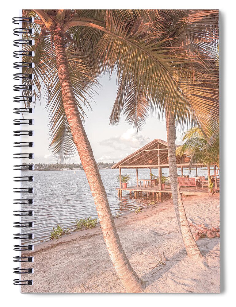 African Spiral Notebook featuring the photograph Swaying Palms at Sunrise in Pale Colors by Debra and Dave Vanderlaan