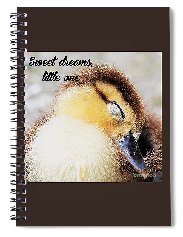 Ducks Spiral Notebook featuring the photograph Sweet Dreams, Little One by Joanne Carey