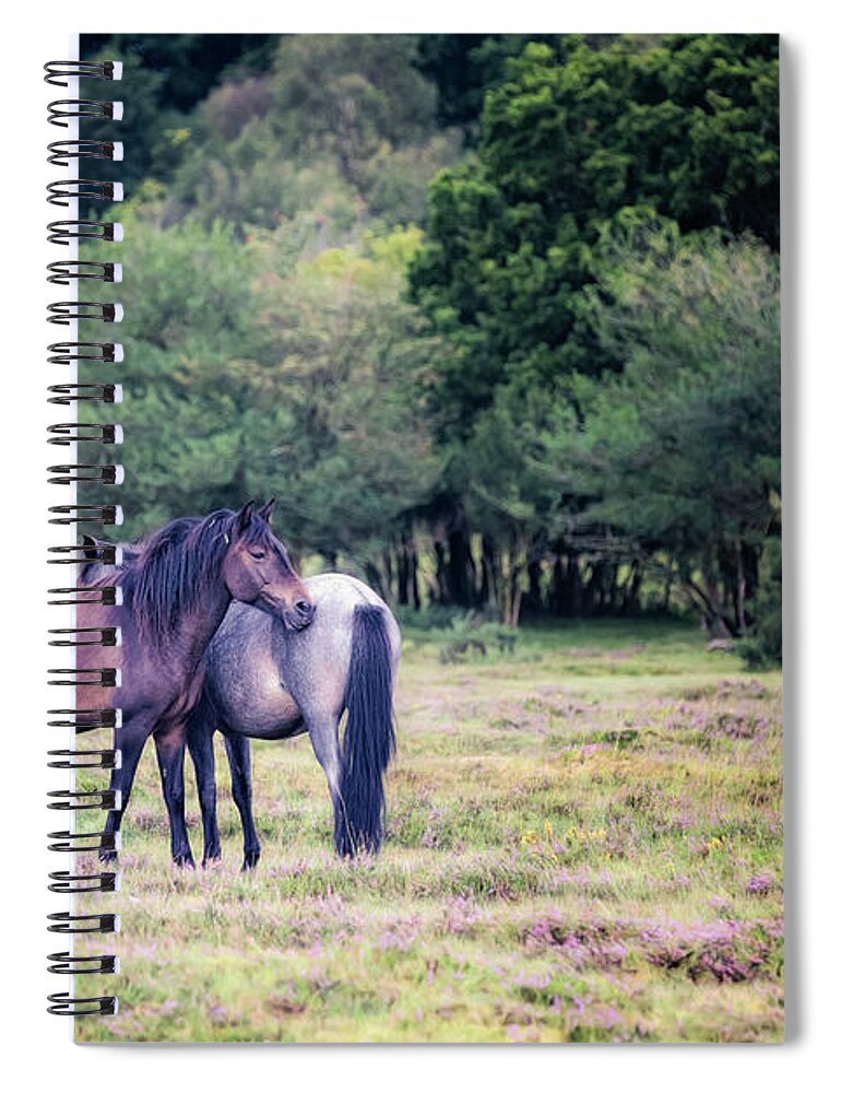 Photographs Spiral Notebook featuring the photograph Sweet Friendship - Horse Art by Lisa Saint
