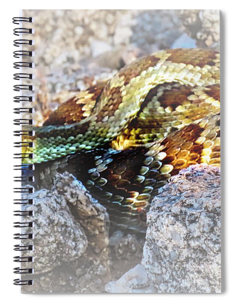 Affordable Spiral Notebook featuring the photograph Sweet Honey in the Rock by Judy Kennedy