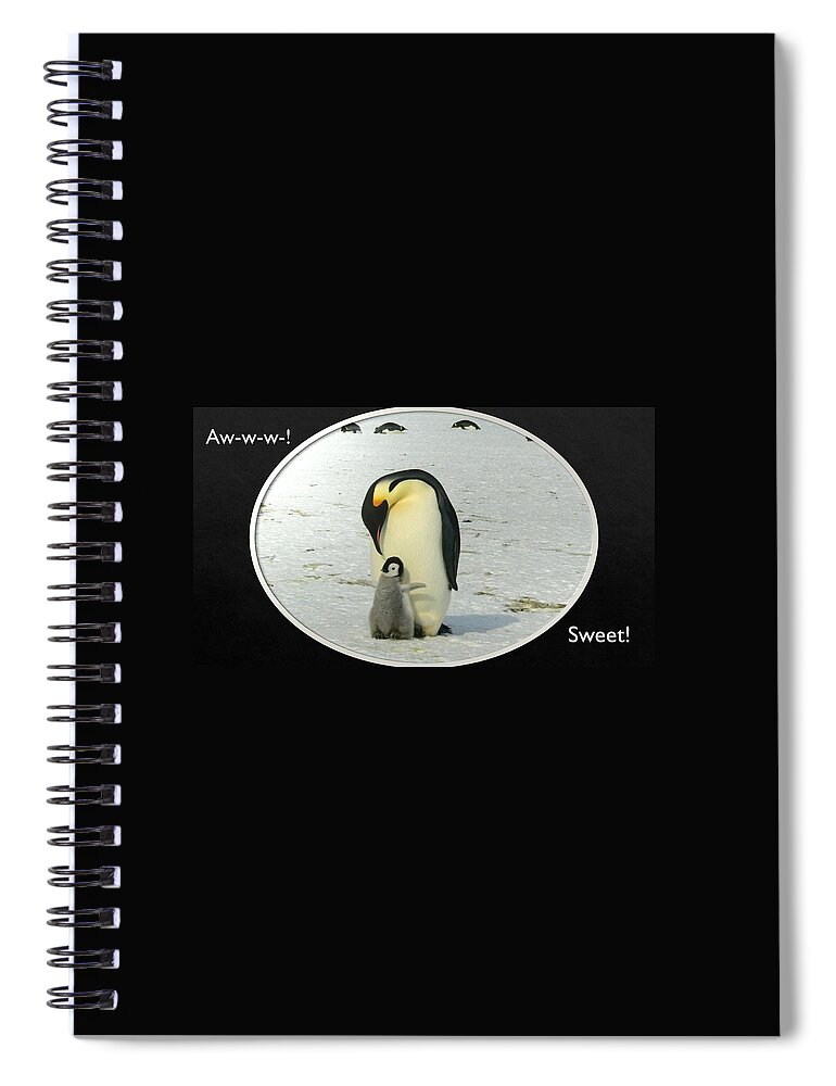 Penguins Spiral Notebook featuring the photograph Sweet Penguins by Nancy Ayanna Wyatt