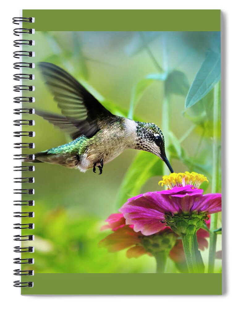 Hummingbird Spiral Notebook featuring the photograph Sweet Success by Christina Rollo