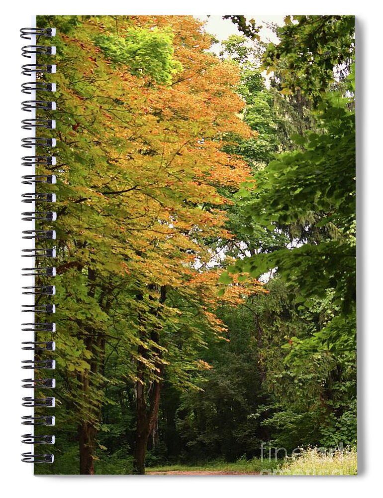 Nature Spiral Notebook featuring the photograph Symphony of Autumn Harmony by Leonida Arte