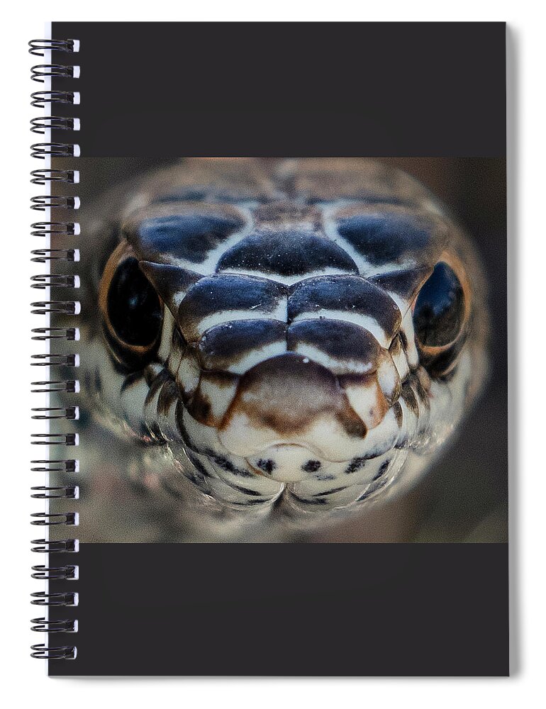  Spiral Notebook featuring the photograph _t__1234 by John T Humphrey