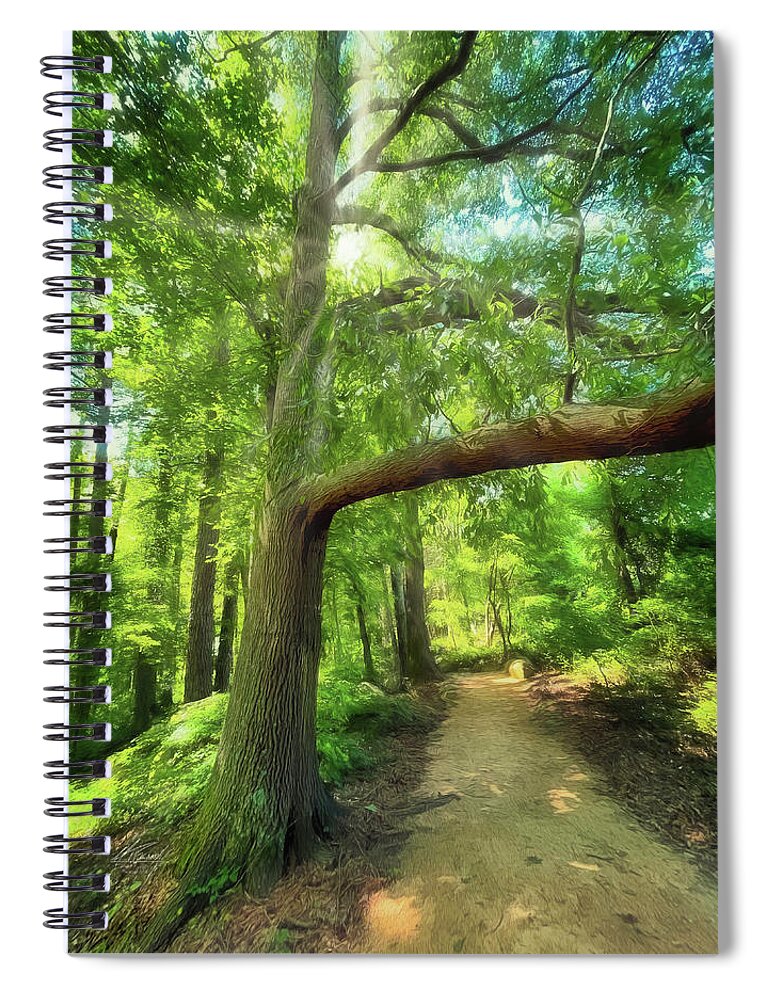 Narrow Path Spiral Notebook featuring the photograph Take the Narrow Path by Michael Frank