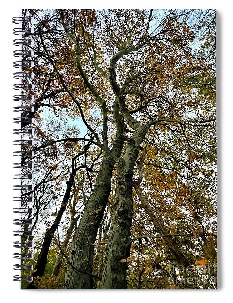 Trees Spiral Notebook featuring the photograph Tall Autumn Trees 3 by CAC Graphics
