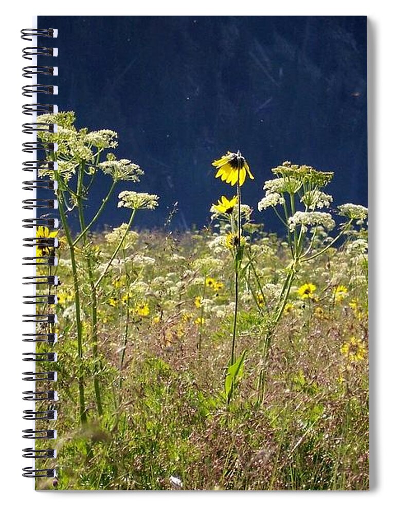 Wildflowers Spiral Notebook featuring the photograph Tall Wildflowers by Amanda R Wright