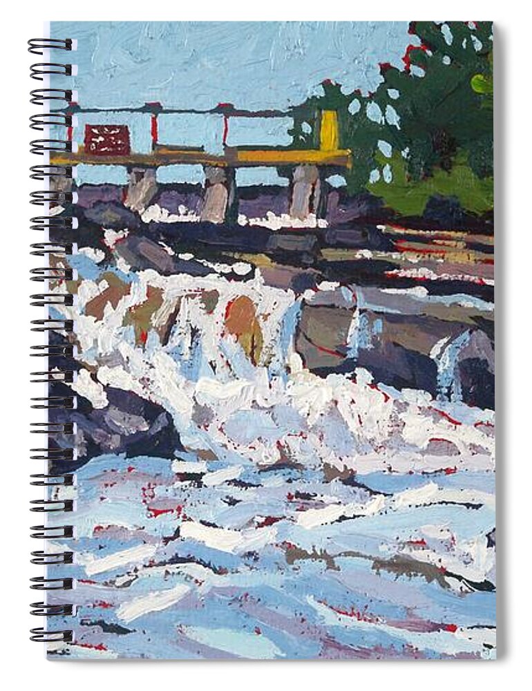 2394 Spiral Notebook featuring the painting Talon Chute by Phil Chadwick