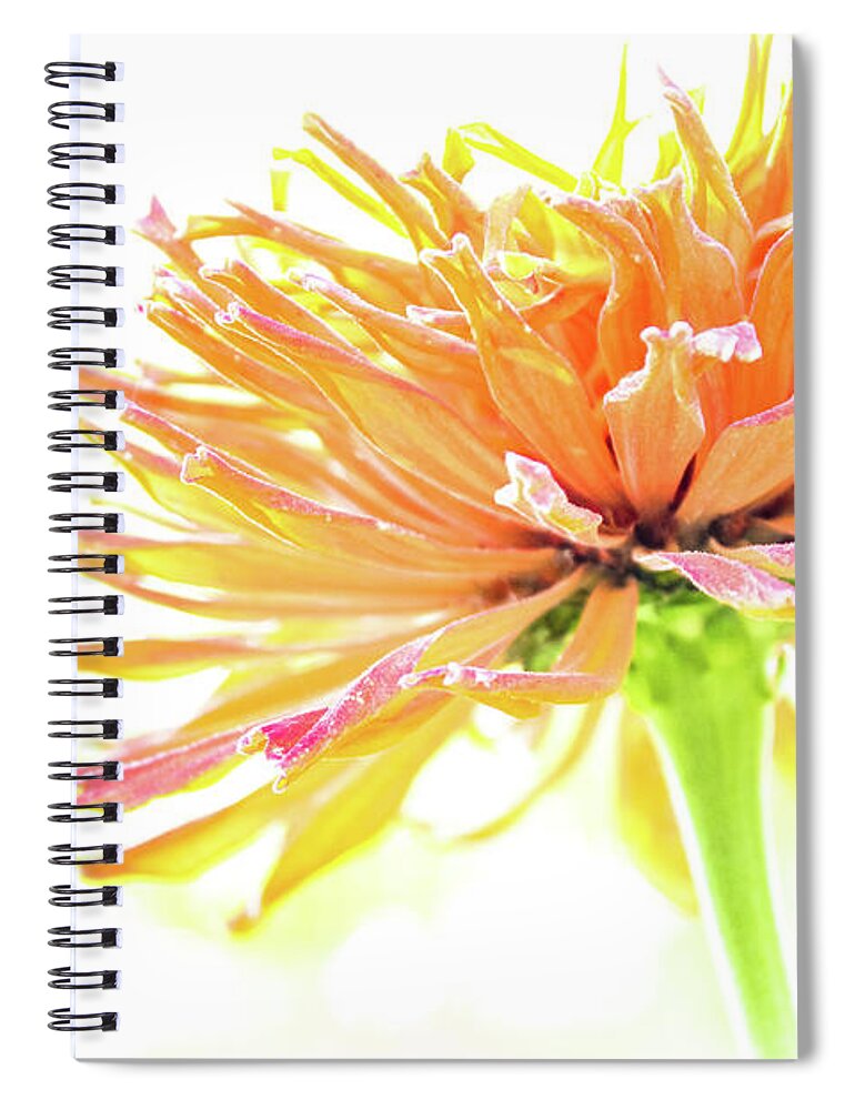 Tangerine Spiral Notebook featuring the photograph Tangerine Dream by Becqi Sherman