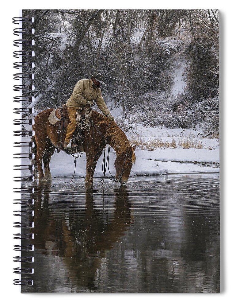 Horse Spiral Notebook featuring the photograph Tap the Water by Laura Hedien