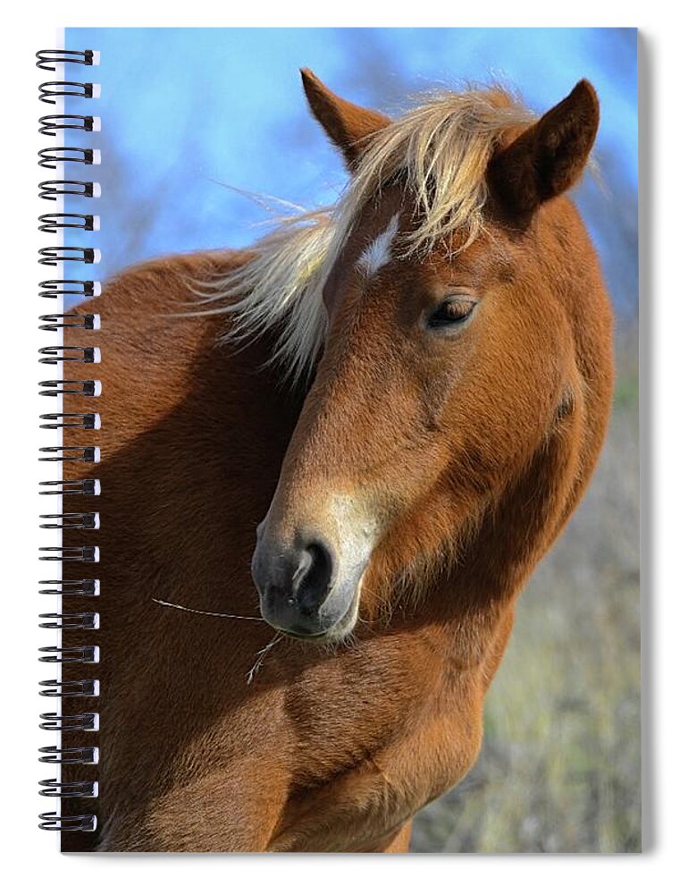 Salt River Wild Horse Spiral Notebook featuring the digital art Tasty by Tammy Keyes