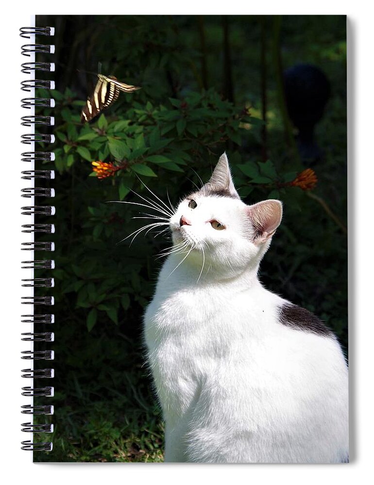 Cat Spiral Notebook featuring the photograph Tazz and Butterfly by Bess Carter
