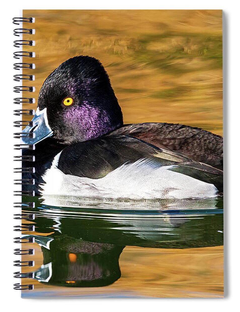 Arboretum Spiral Notebook featuring the photograph Technicolor Reflection by Rick Furmanek
