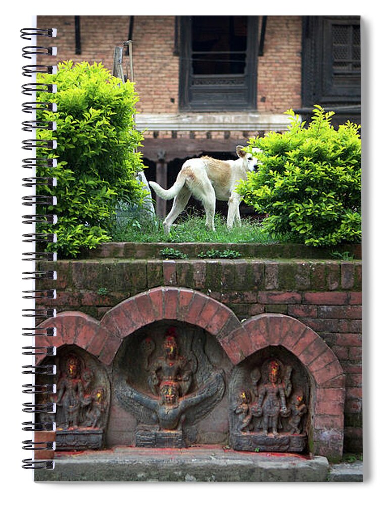 Temple Spiral Notebook featuring the photograph Temple Dog by Joseph Philipson