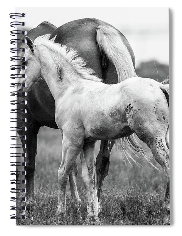  Spiral Notebook featuring the photograph Texas Ranch by Vincent Bonafede