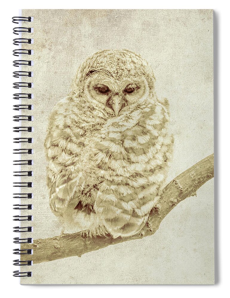 Textured Owl Wildlife Image Spiral Notebook featuring the photograph Textured Owl Wildlife Image by Dan Sproul