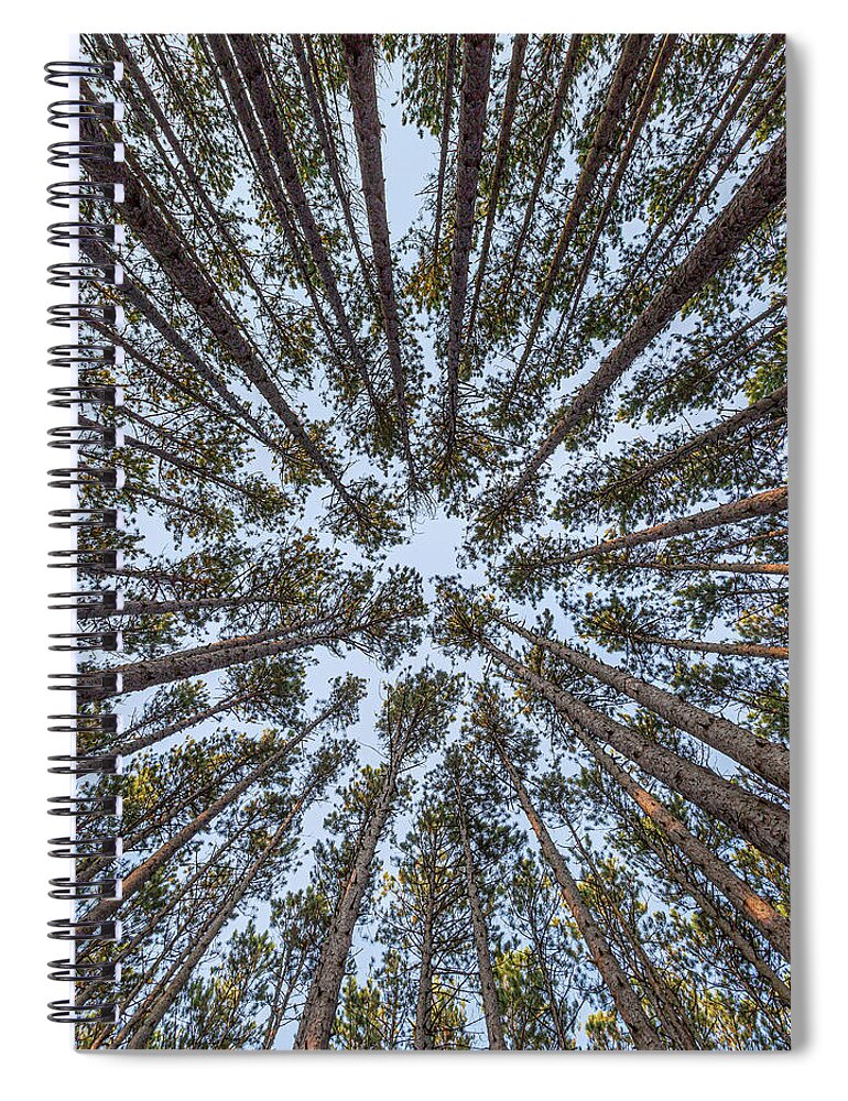 Toledo Spiral Notebook featuring the photograph That Spot by Dale Kincaid
