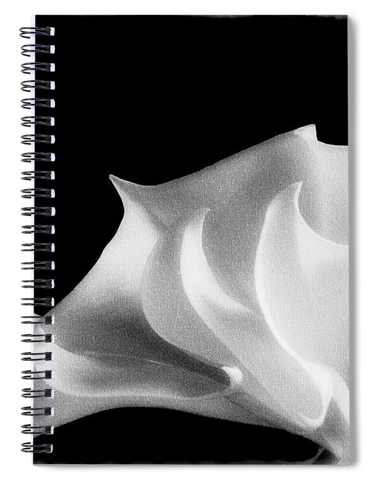  Spiral Notebook featuring the photograph That Wet And Unholy Heat by Cynthia Dickinson