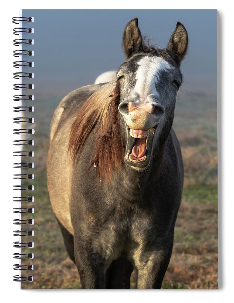 Horse Spiral Notebook featuring the photograph That's a Good One by Holly Ross