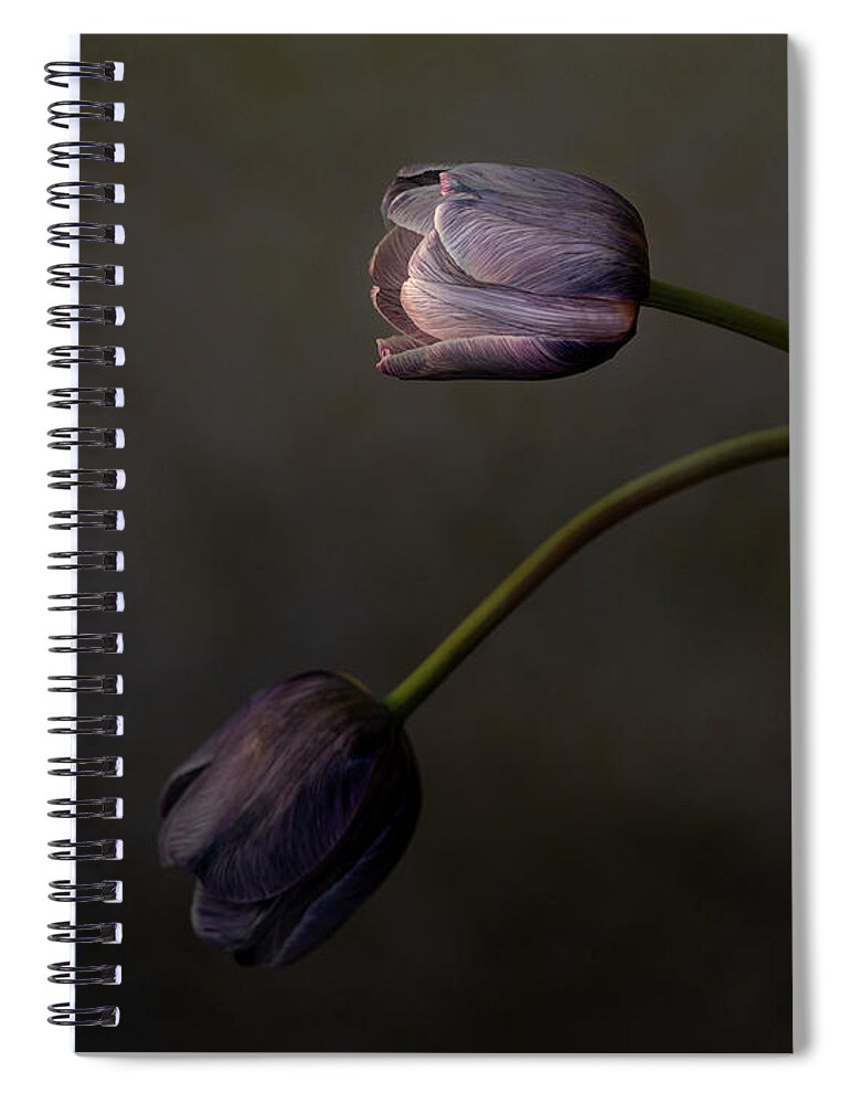 Still Life Spiral Notebook featuring the photograph The aborted spring of 2020 by Alessandra RC