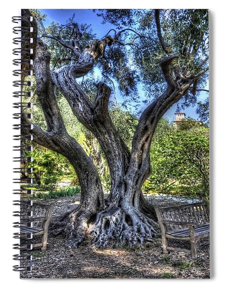 Liguria Di Ponente Spiral Notebook featuring the photograph THE ANCIENT TREE AND THE TWO BENCHES - L'ALBERO ANTICO e LE DUE PANCHINE by Enrico Pelos