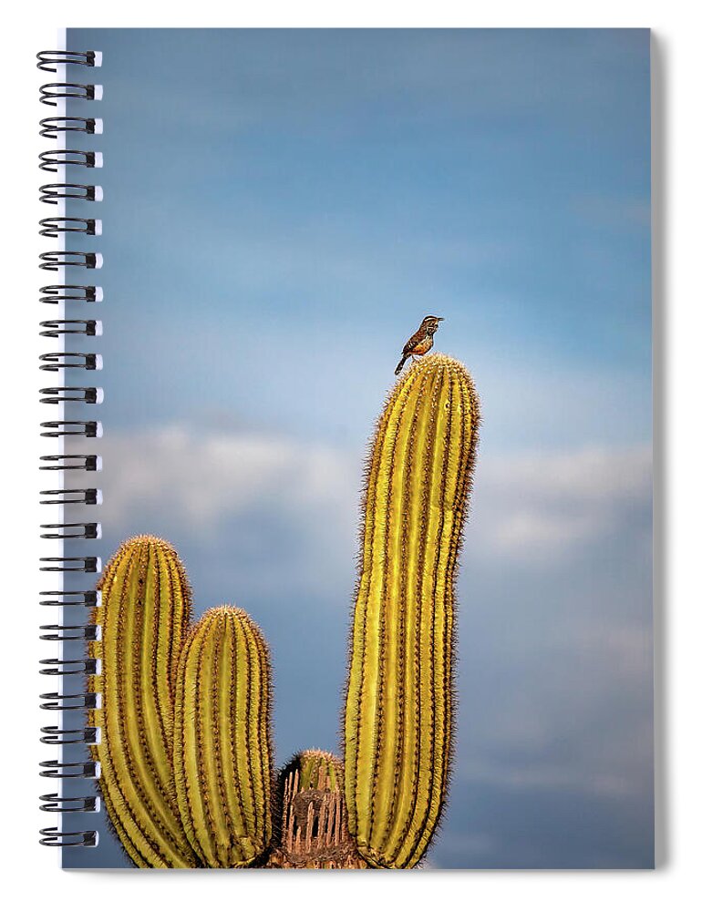 Arboretum Spiral Notebook featuring the photograph The Arizona Cactus Wren by Rick Furmanek
