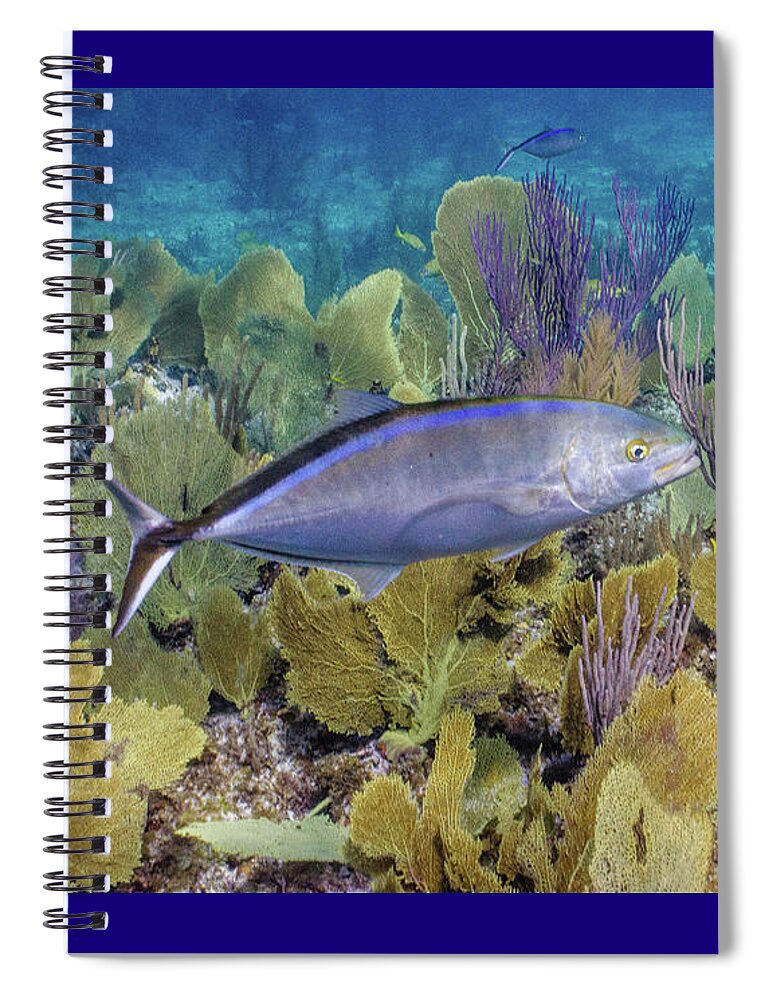 Animals Spiral Notebook featuring the photograph The Bar Crossing by Lynne Browne