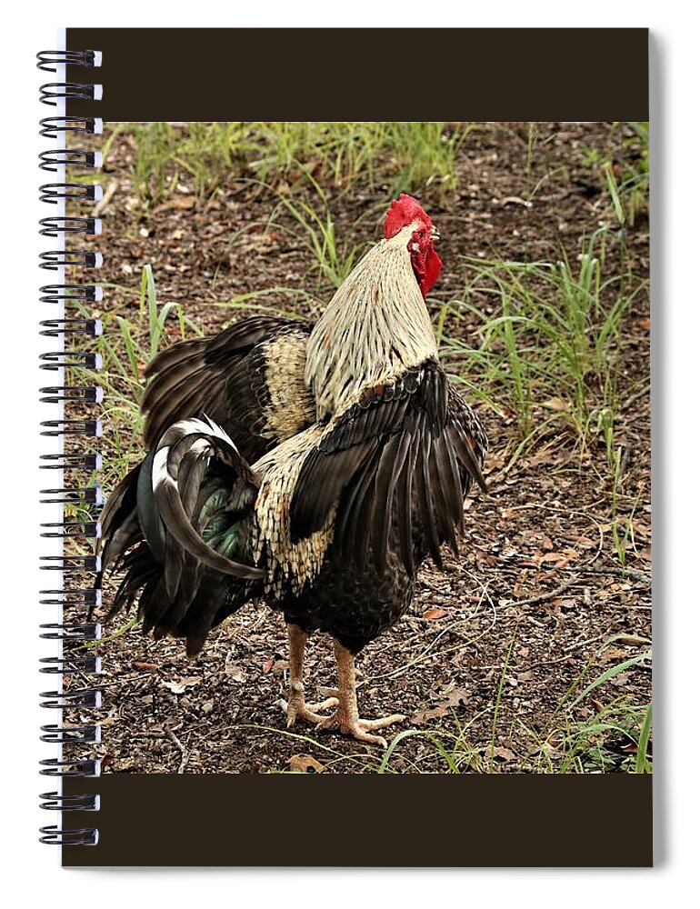 Nature Spiral Notebook featuring the photograph The Barnyard Boss by Sheila Brown