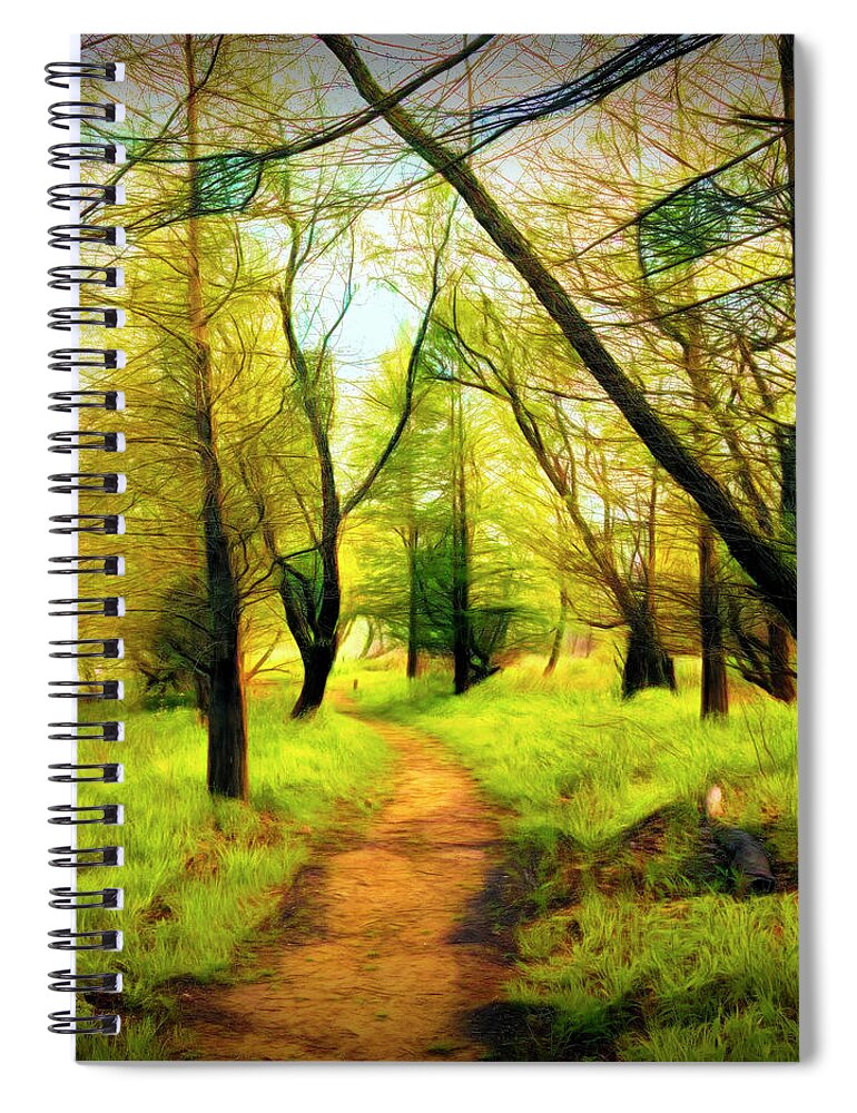Carolina Spiral Notebook featuring the photograph The Beautiful Forest Trail in Abstract in Square by Debra and Dave Vanderlaan